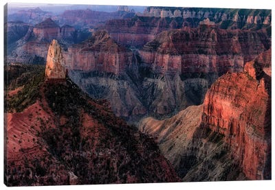 Grand Canyon Formation I Canvas Art Print - Grand Canyon National Park Art