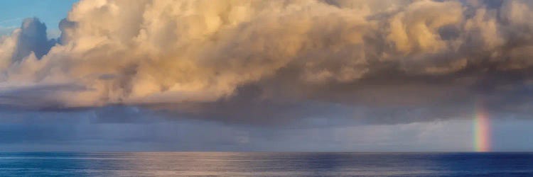 Tropical Storm Rainbow