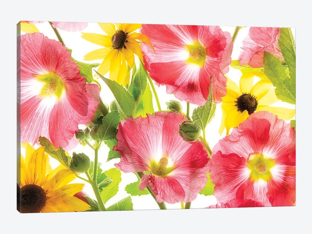 Floral Mix by Dennis Frates 1-piece Canvas Print