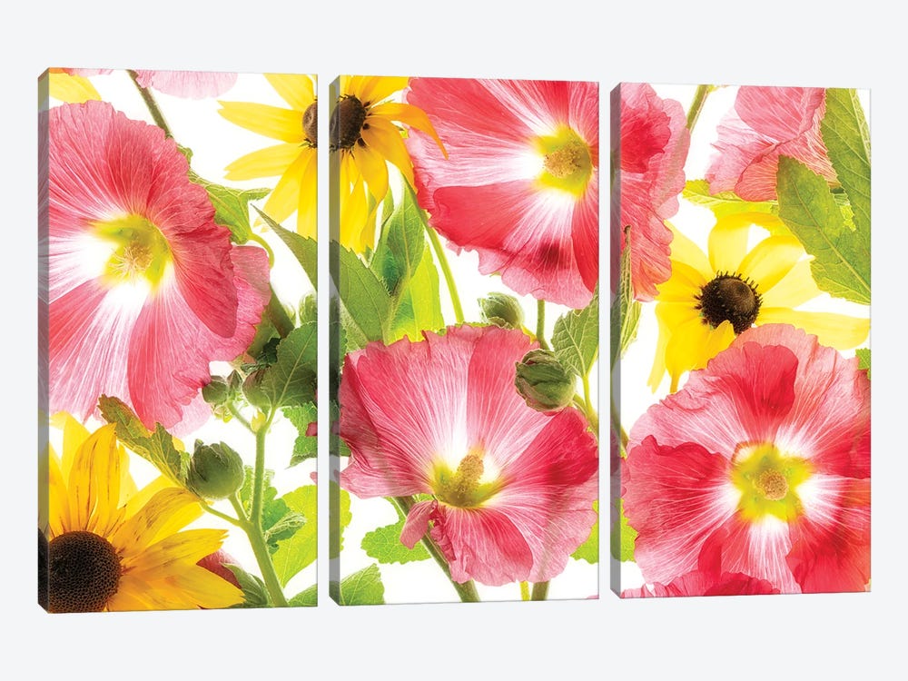 Floral Mix by Dennis Frates 3-piece Canvas Art Print
