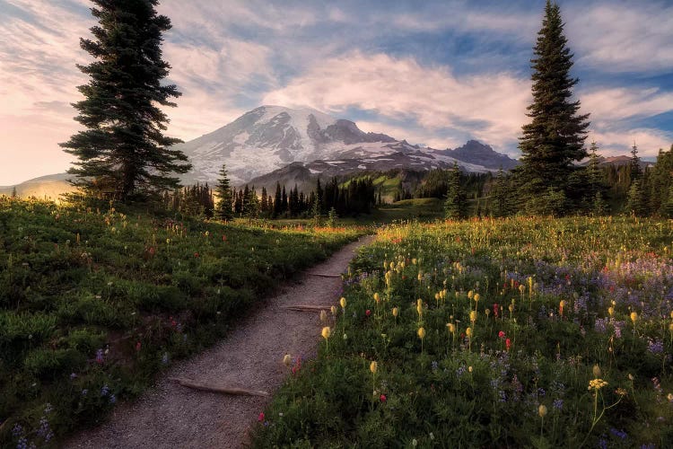 Alpine Path