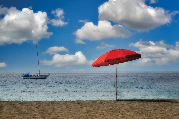 Lone Umbrella III by Dennis Frates wall art