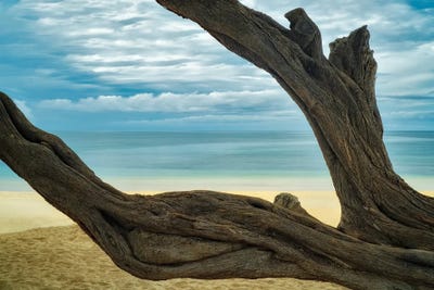 Secluded Beach V by Dennis Frates multi panel art