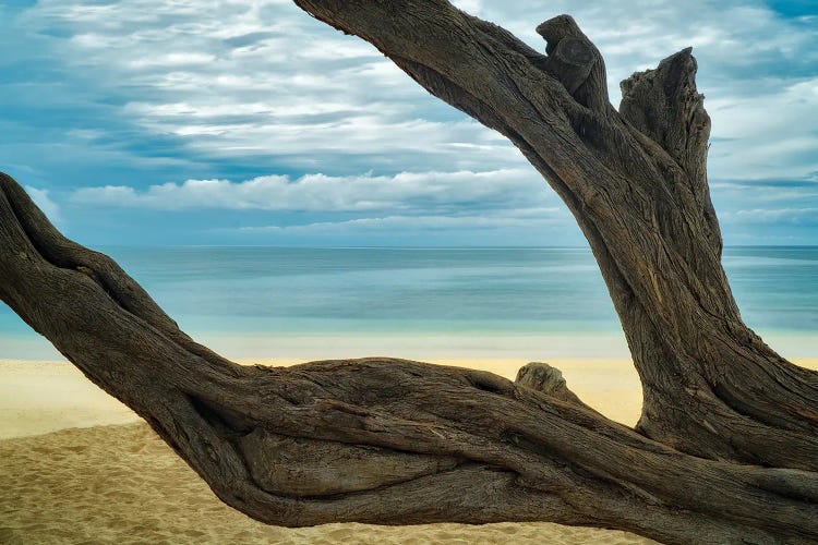 Secluded Beach V