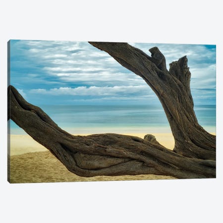 Secluded Beach V Canvas Print #DEN1415} by Dennis Frates Canvas Print