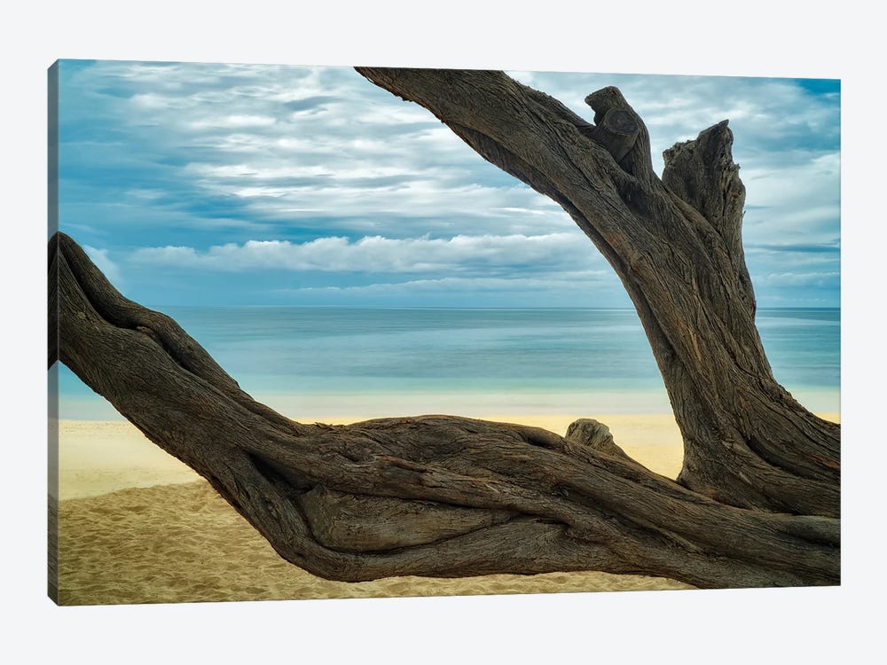 Secluded Beach V by Dennis Frates 1-piece Canvas Wall Art