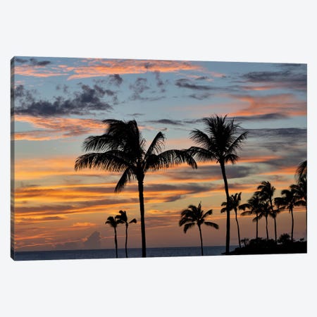 Palm Sunset VII Canvas Print #DEN1416} by Dennis Frates Art Print