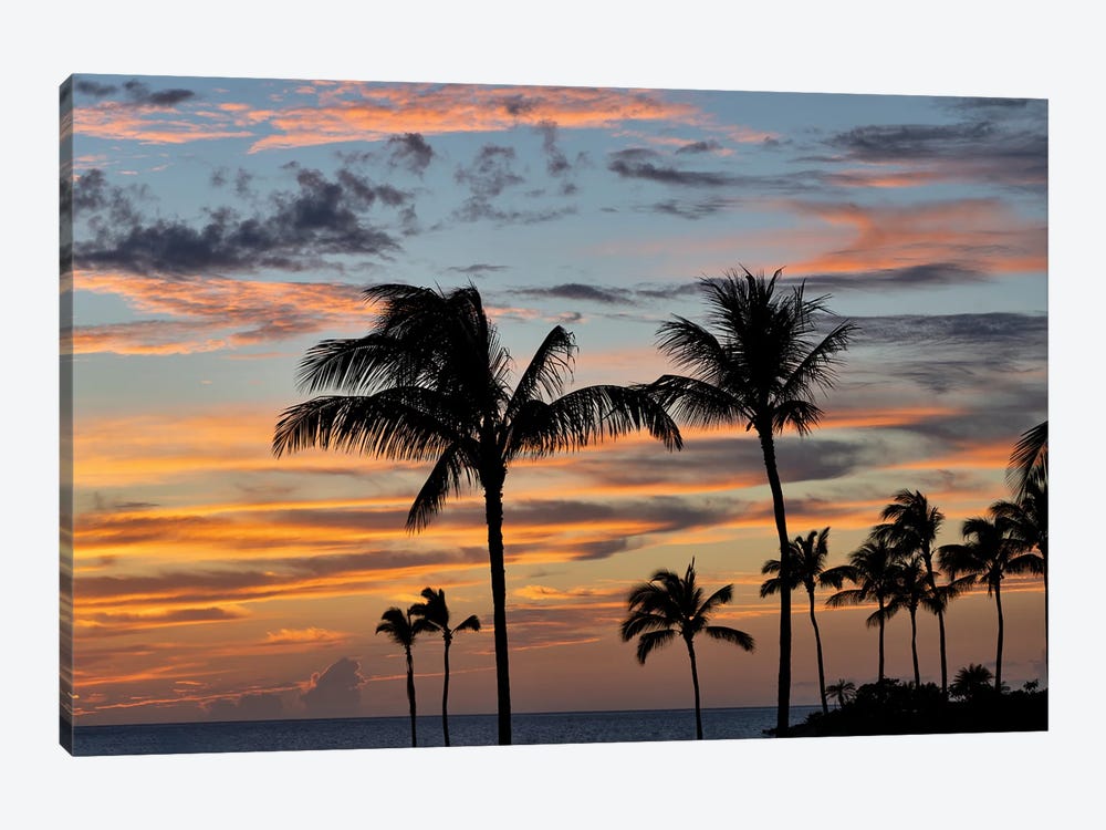 Palm Sunset VII by Dennis Frates 1-piece Canvas Print