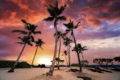 Palm Beach Sunset by Dennis Frates framed wall art