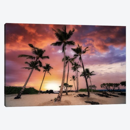 Palm Beach Sunset Canvas Print #DEN1425} by Dennis Frates Canvas Wall Art