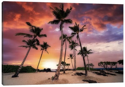 Palm Beach Sunset Canvas Art Print