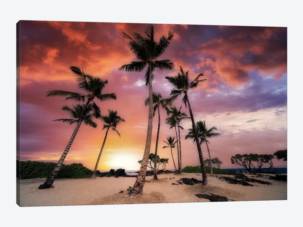 Palm Beach Sunset by Dennis Frates 1-piece Canvas Art Print