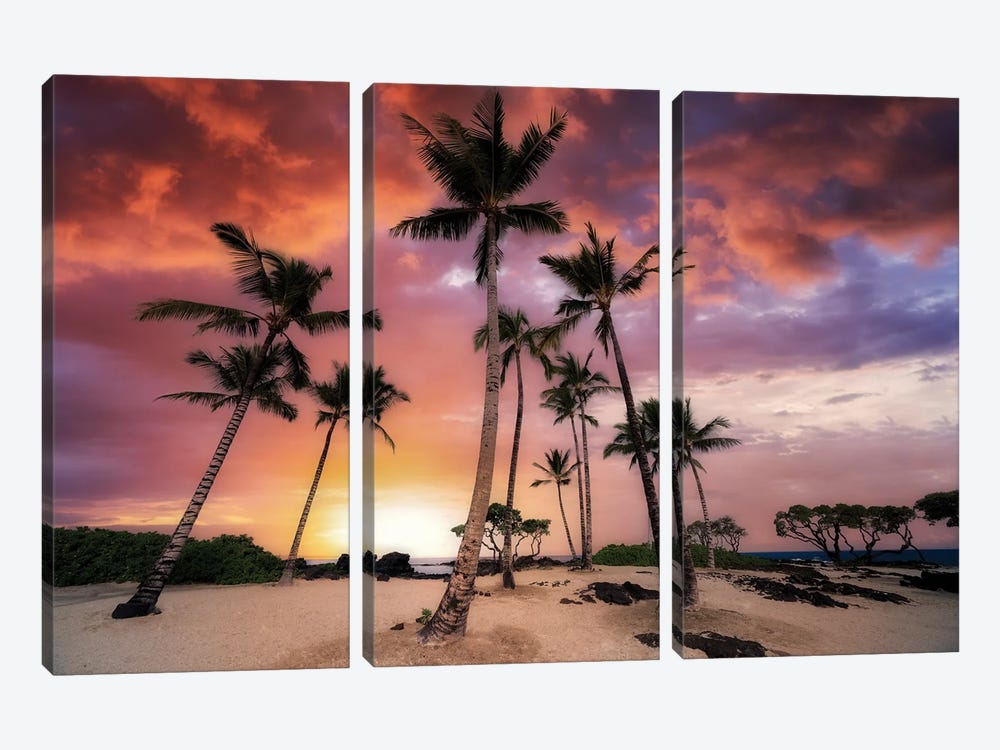 Palm Beach Sunset by Dennis Frates 3-piece Canvas Art Print