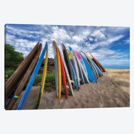 Surfboard Cluster Canvas Print #DEN1428} by Dennis Frates Canvas Print