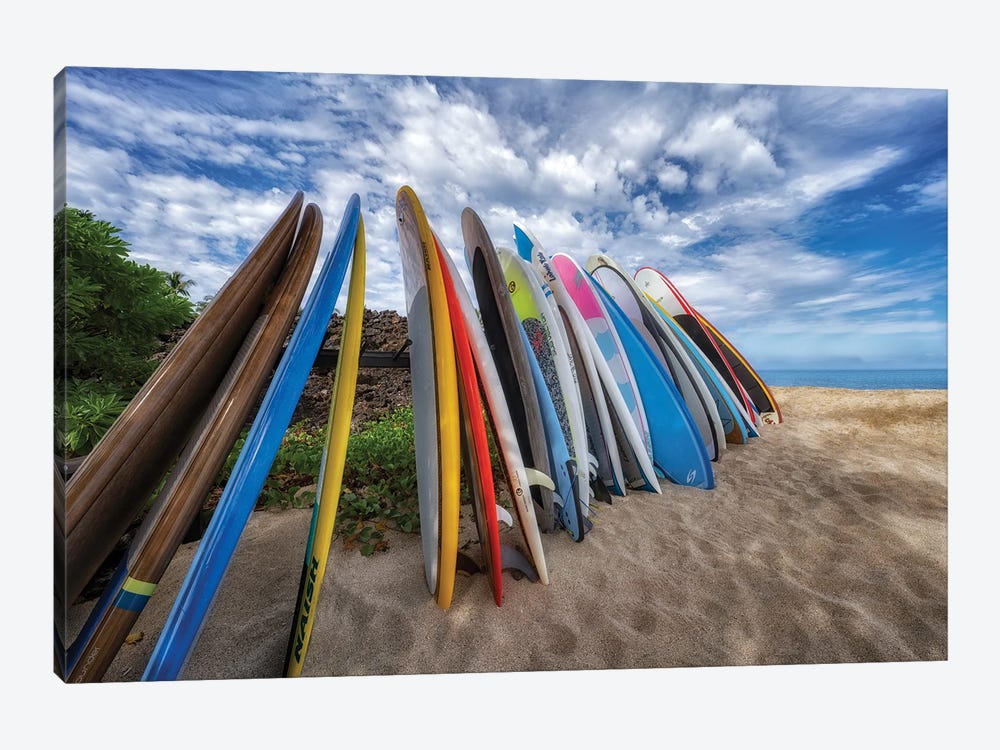 Surfboard Cluster by Dennis Frates 1-piece Canvas Wall Art