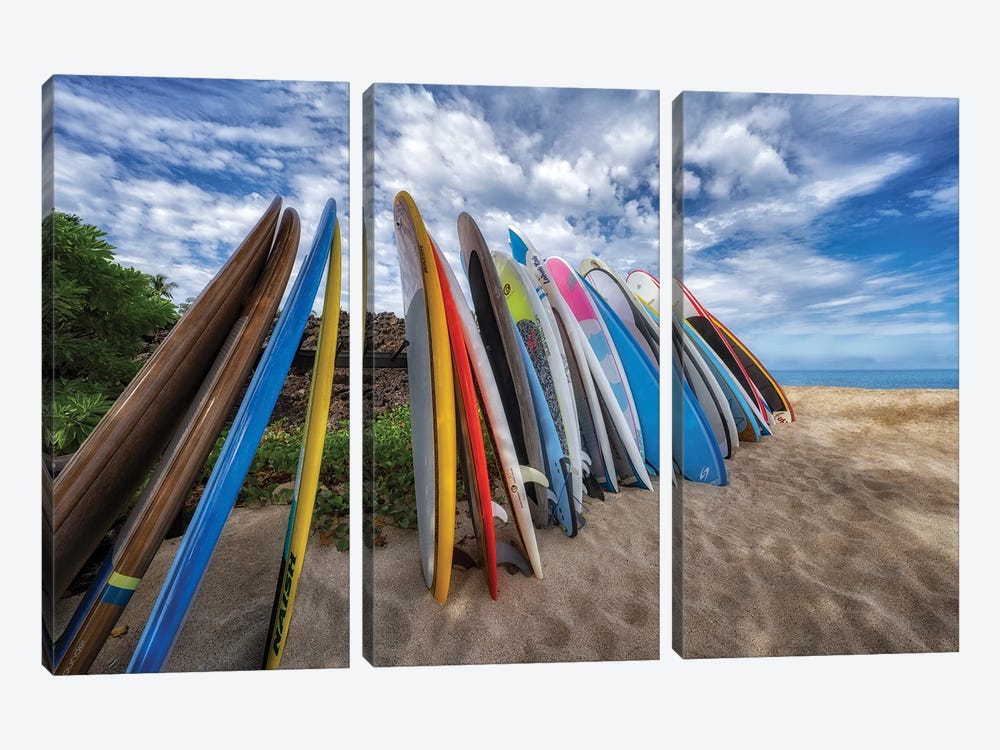 Surfboard Cluster by Dennis Frates 3-piece Canvas Wall Art
