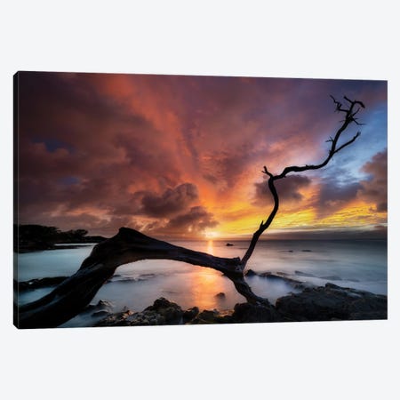 Sunset Silhouette Canvas Print #DEN1431} by Dennis Frates Canvas Wall Art