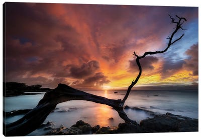 Sunset Silhouette Canvas Art Print - Rocky Beach Art