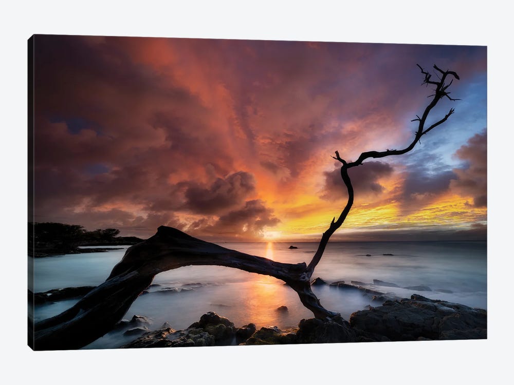 Sunset Silhouette by Dennis Frates 1-piece Canvas Artwork