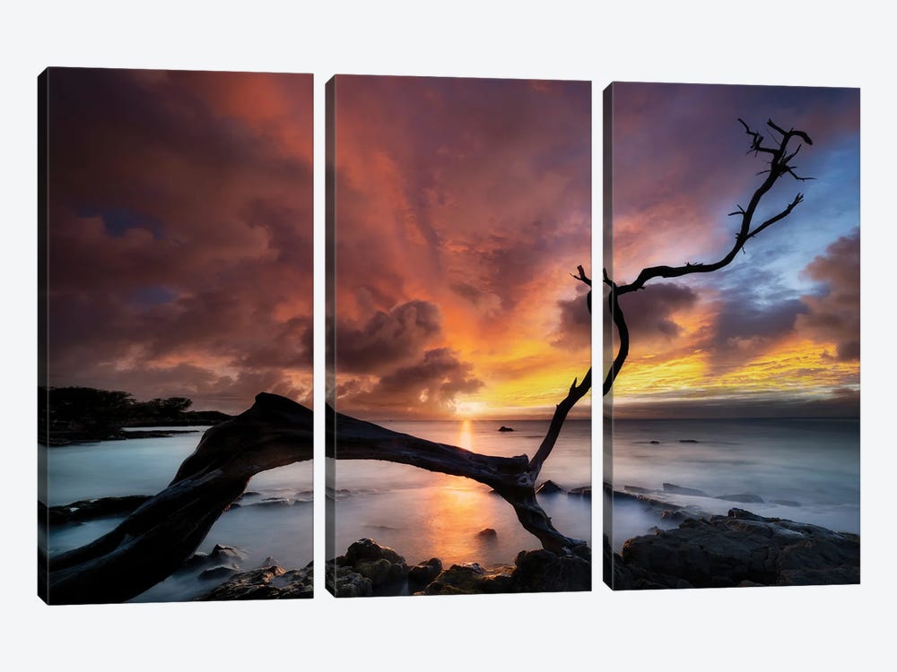 Sunset Silhouette by Dennis Frates 3-piece Canvas Art