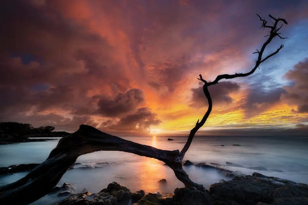 Rocky Beaches: Sunset Silhouette by Dennis Frates