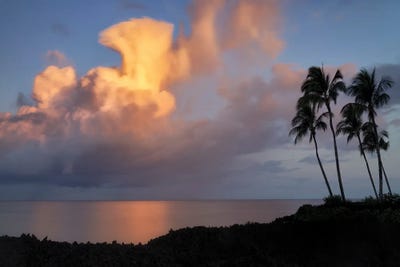 Tropical Sunset V by Dennis Frates canvas print