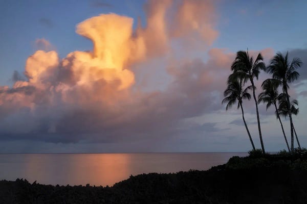 Tropical Sunset V