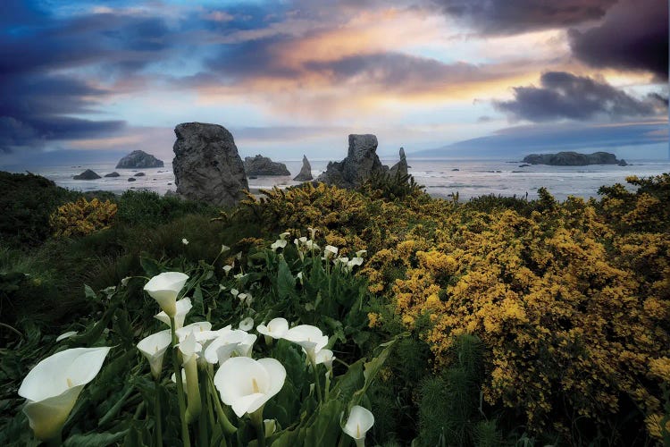 Floral Coastline II