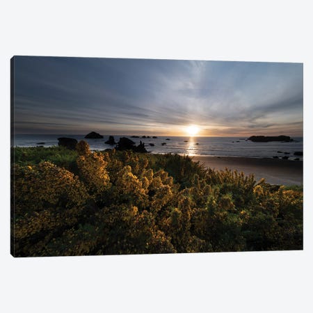 Coastal Floral Sunset Canvas Print #DEN1465} by Dennis Frates Canvas Wall Art