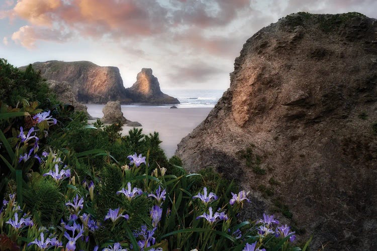 Floral Coastline V