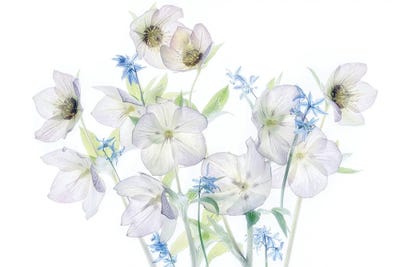 Floral Arrangement VII by Dennis Frates multi panel art