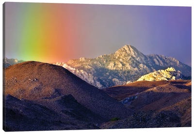 Alpine Rainbow Canvas Art Print - Rainbow Art