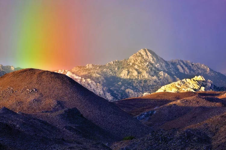Alpine Rainbow by Dennis Frates wall art