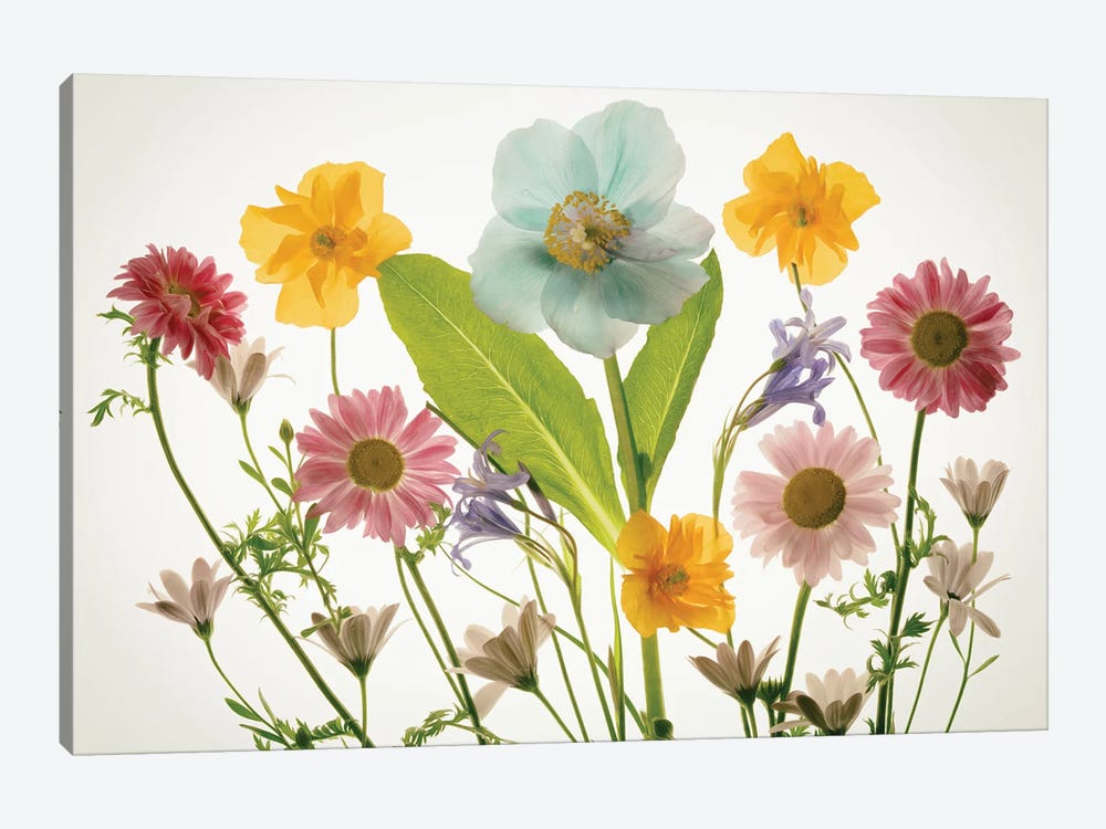 Floral Arrangement IX by Dennis Frates 1-piece Canvas Print