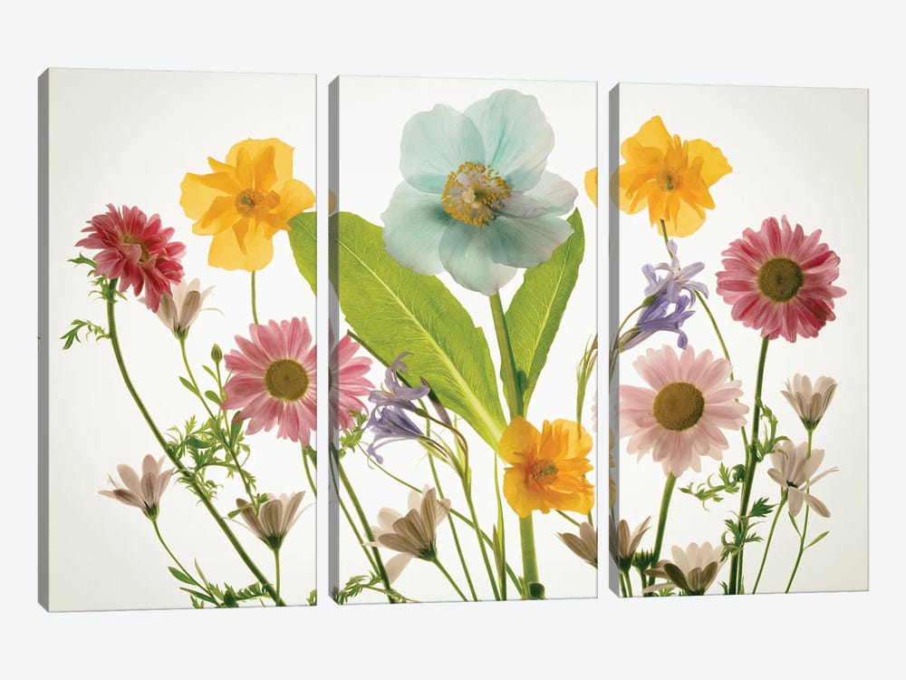 Floral Arrangement IX by Dennis Frates 3-piece Canvas Print