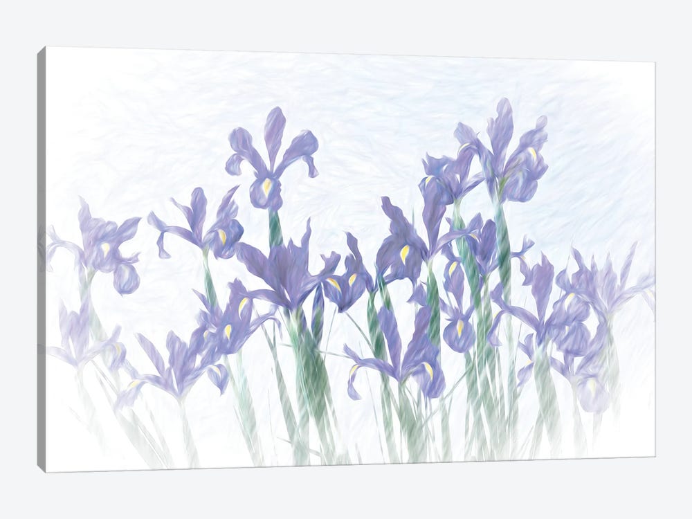 Iris Group II by Dennis Frates 1-piece Canvas Print