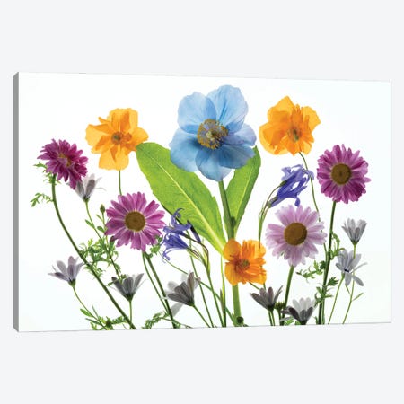 Floral Arrangement XIX Canvas Print #DEN1533} by Dennis Frates Canvas Art Print