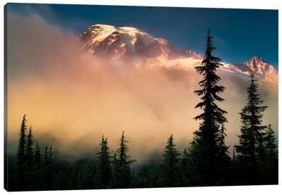 Rainier Foggy Sunrise Canvas Art Print - Mount Rainier