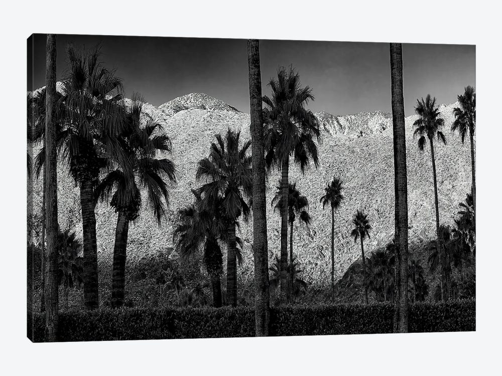 Palms And Mountain by Dennis Frates 1-piece Canvas Wall Art