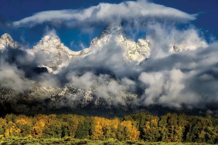 Teton Autumn