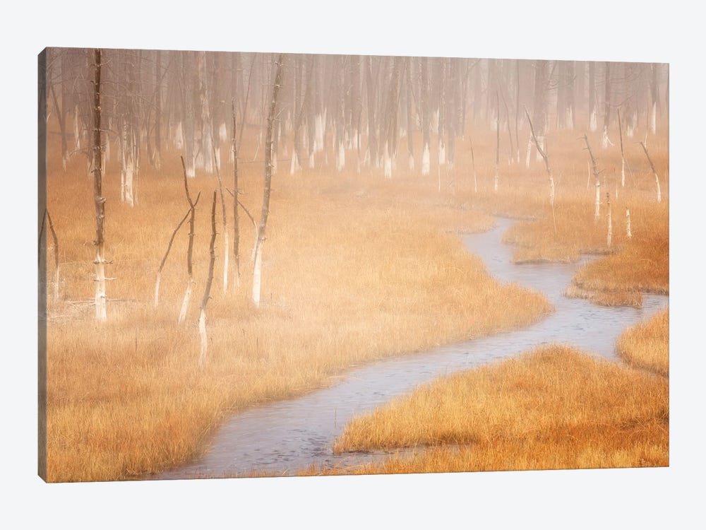 Foggy Yellowstone Stream by Dennis Frates 1-piece Canvas Print