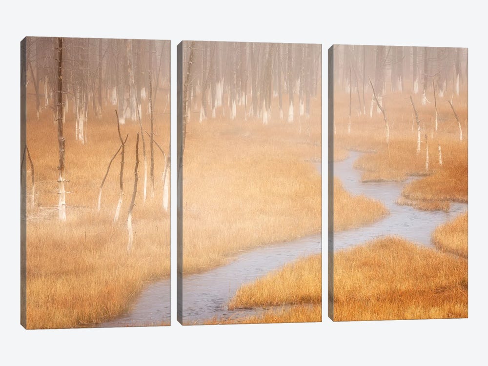 Foggy Yellowstone Stream by Dennis Frates 3-piece Canvas Art Print