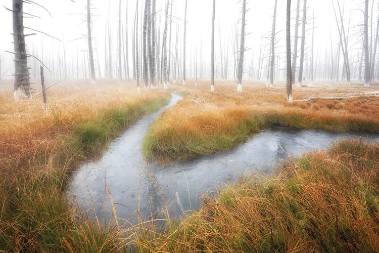 Autumn River Bend