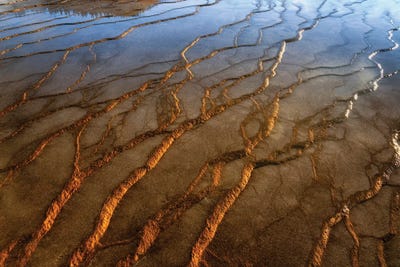 Geo Patterns II by Dennis Frates canvas print