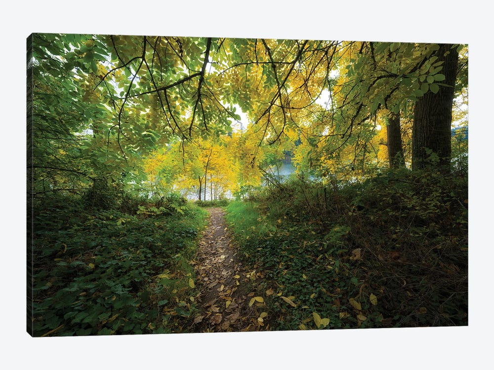Autumn Walk by Dennis Frates 1-piece Art Print