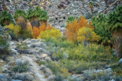 Stone House by Dennis Frates canvas print