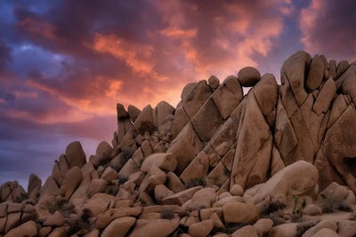 Joshua Sunrise by Dennis Frates multi panel art