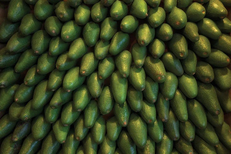 Avacados