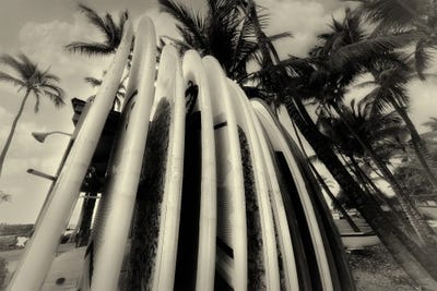 Antique Surfboards by Dennis Frates canvas print