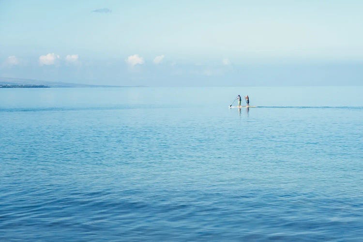 Surfboard Paddling